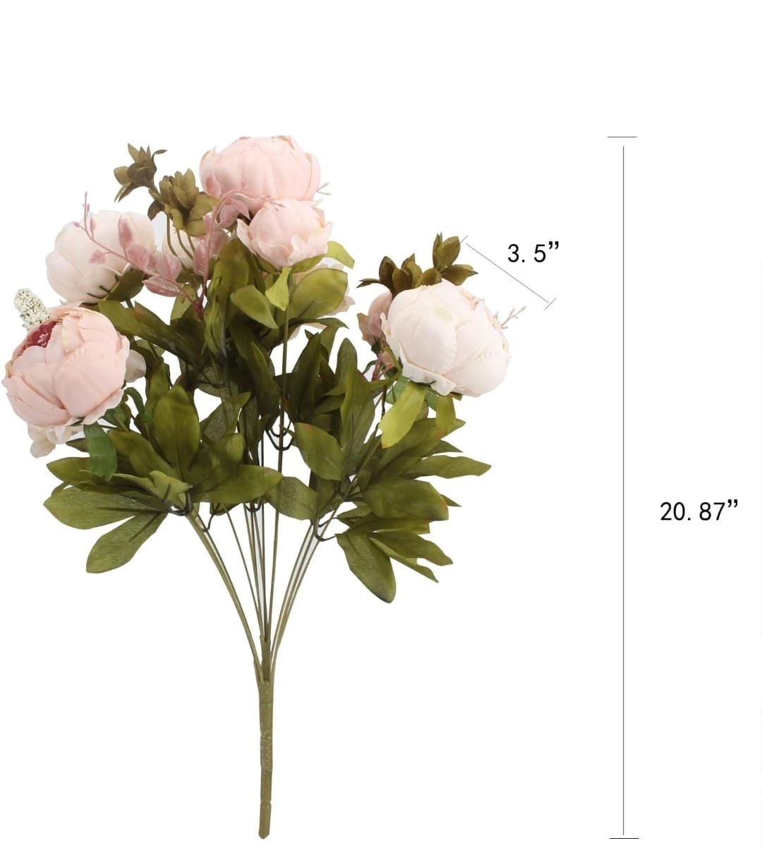 Blush Whisper Peony - Image 4